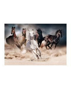 OBRAZ HORSES 120X80