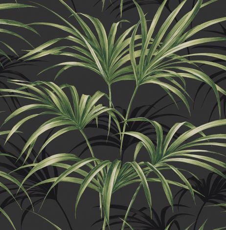 Tapeta liście palmy czarna Maui Maui Wallquest TP80600