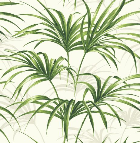 Tapeta liście palmy biała Maui Maui Wallquest TP80610