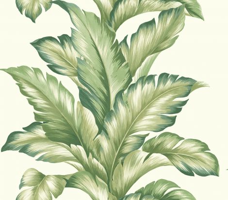 Tapeta liście palmy białą Maui Maui Wallquest TP81204