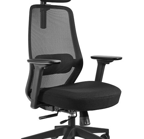 Fotel ergonomiczny Sonic, czarny