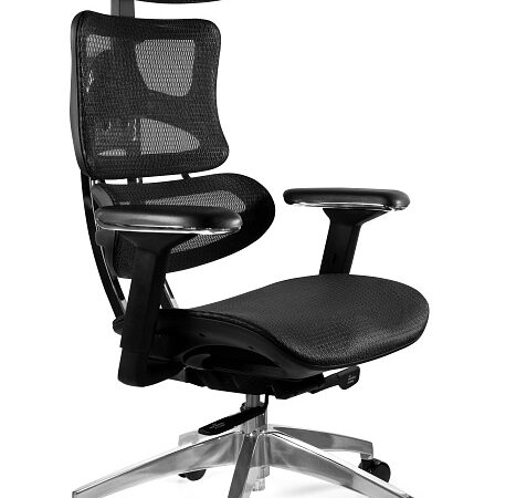 ERGOTECH – CHROME FRAME