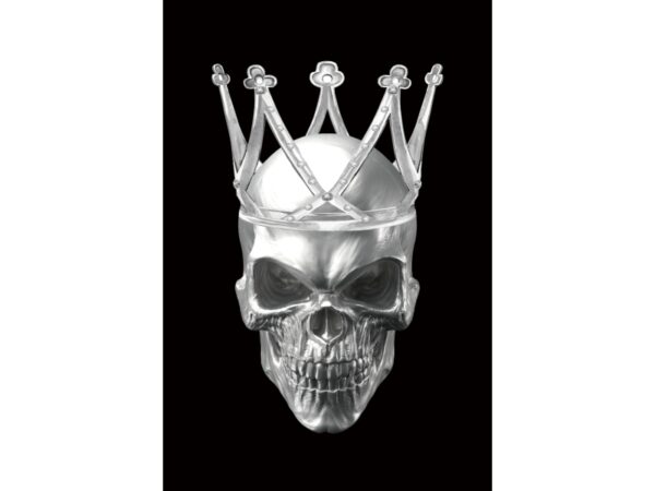 Obraz Skull II