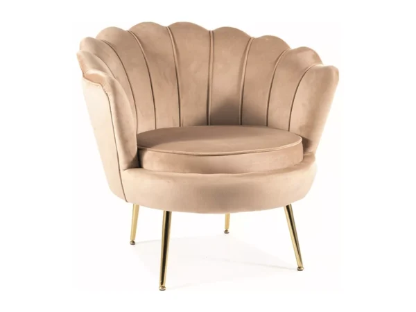 Fotel Camellia 1 Velvet