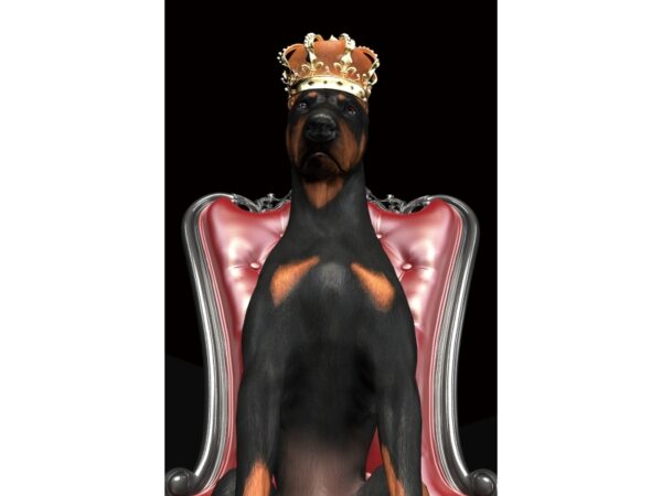 Obraz Dog in Crown