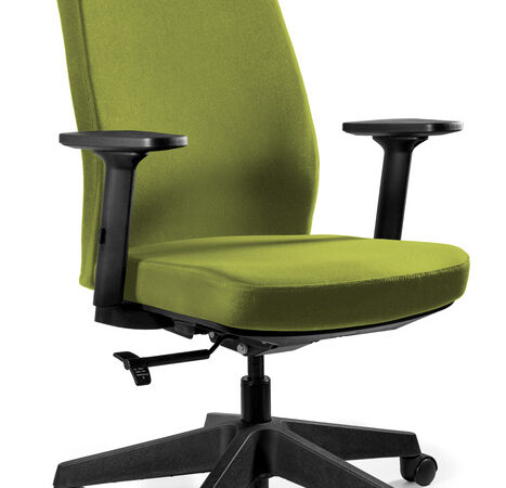WORK – BL411 OLIVE